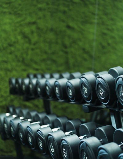 Rack de dumbbells și greutăți în sala Magic Gym